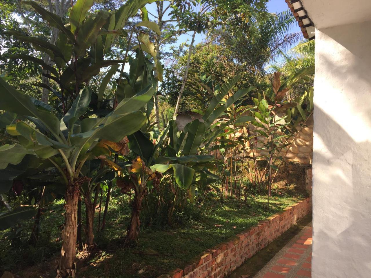 Hotel Casona Las Juanas San José de Pare Esterno foto